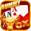 all rummy 51 bonus icon